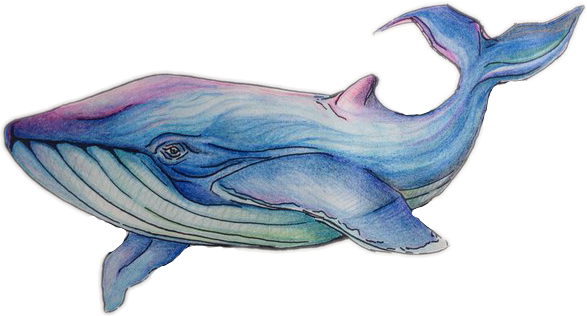 Рисуем кита