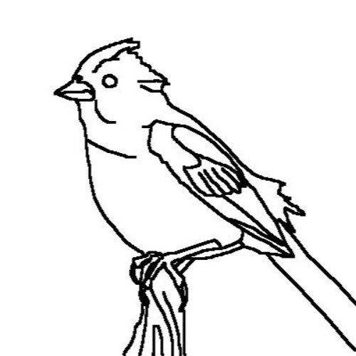 Растрепанный Воробей раскраска для детей