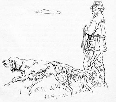 Остров спасения пришвин рисунок