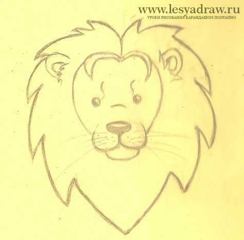 Лев морда легко