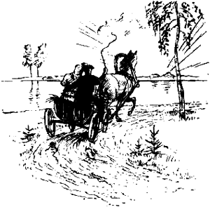 Рисунок к произведению Пересолил Чехов