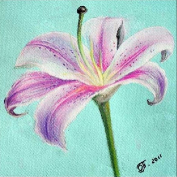 Лилия масляной пастелью
