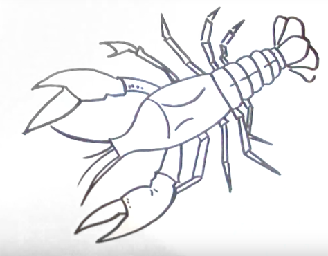 Как нарисовать Рачков