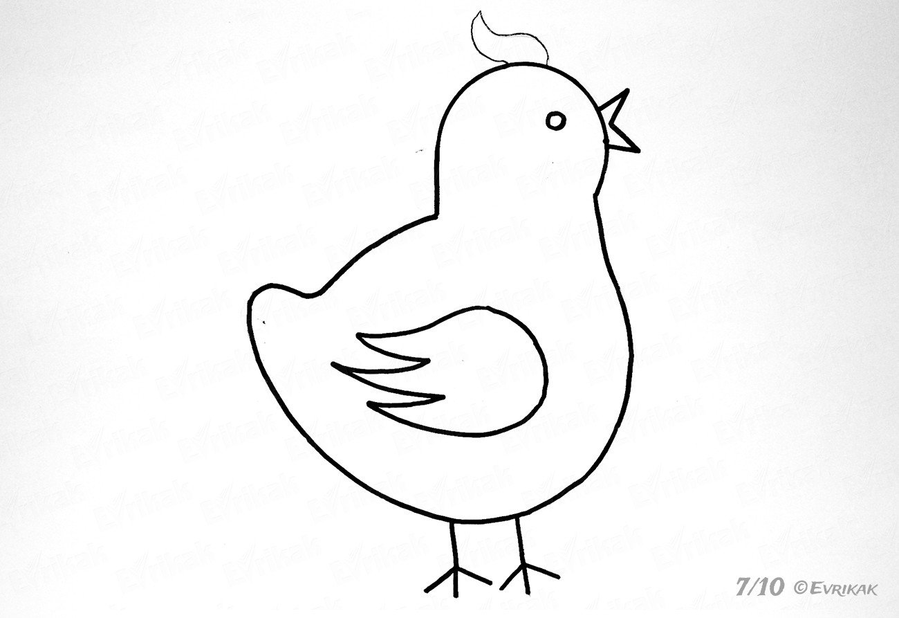 Цыпленок рисунок карандашом