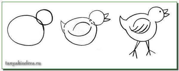 Раскраска для малышей. Птицы