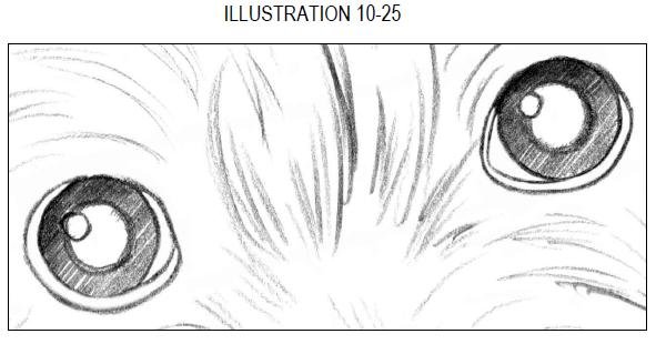 Как рисовать глаза собаки