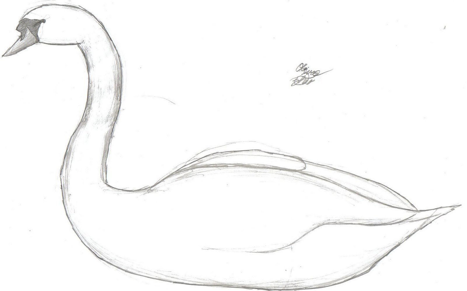 Лебедь карандашом для срисовки