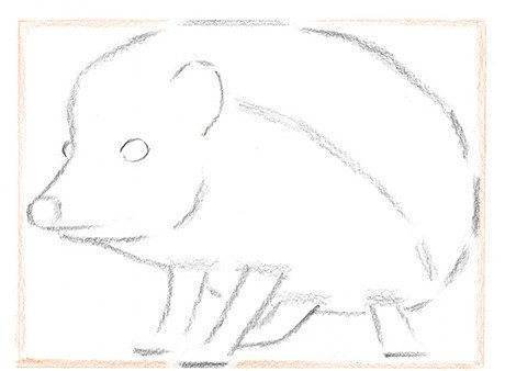 Рисунок ушастого ежа