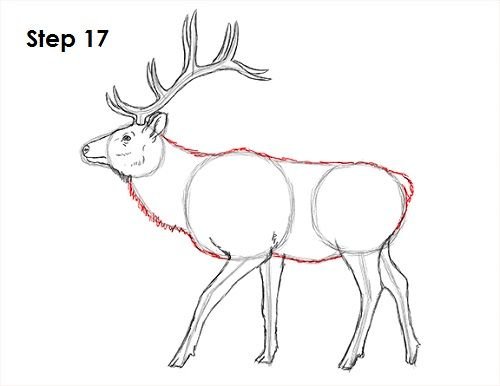 Рисование с детьми Северный олень