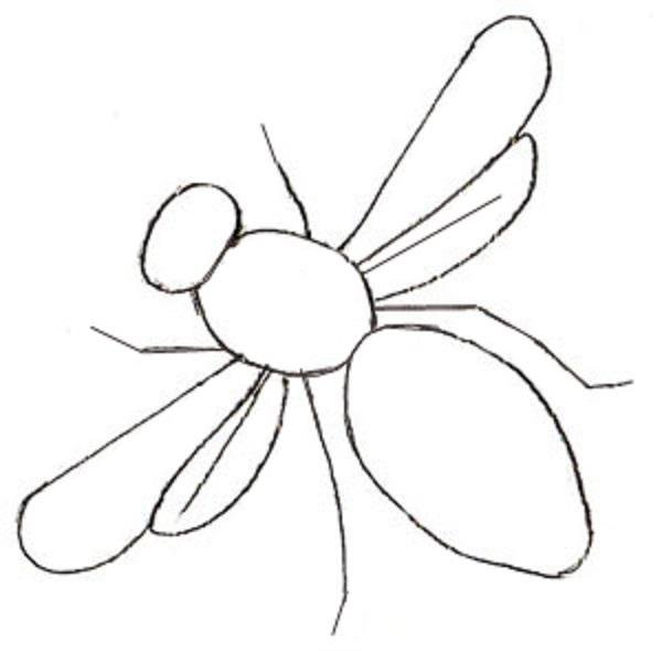 Жук для срисовки