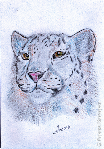 Поэтапное рисование Барса