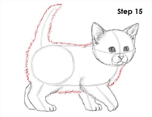 Как нарисовать котёнка легко