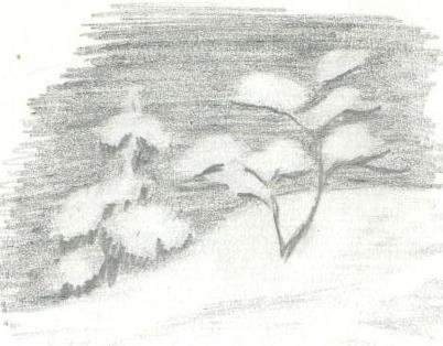 Ластик рисунок карандашом