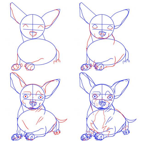 Поэтапное рисование собаки чихуахуа карандашом
