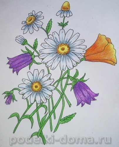 Полевые цветы фломастерами