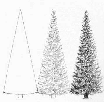 Нарисовать ель карандашом поэтапно