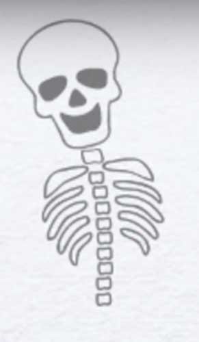 Скелет рисунок