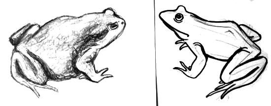 Лягушка рисунок карандашом