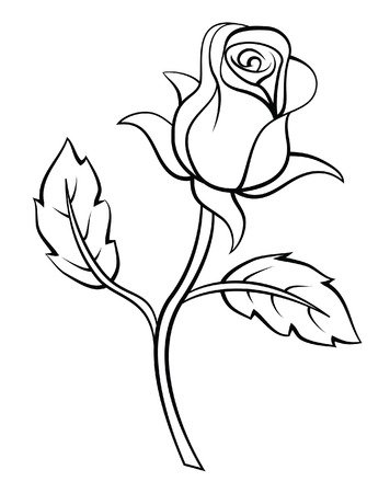 Роза бутон контур