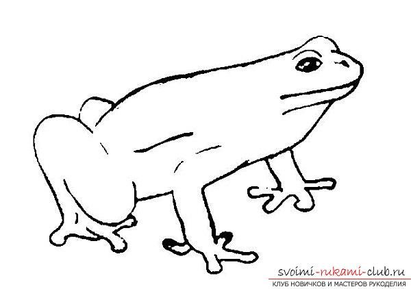 Серая жаба рисунок для детей легко