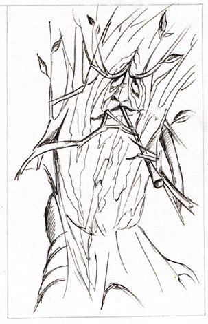 Энты Властелин колец