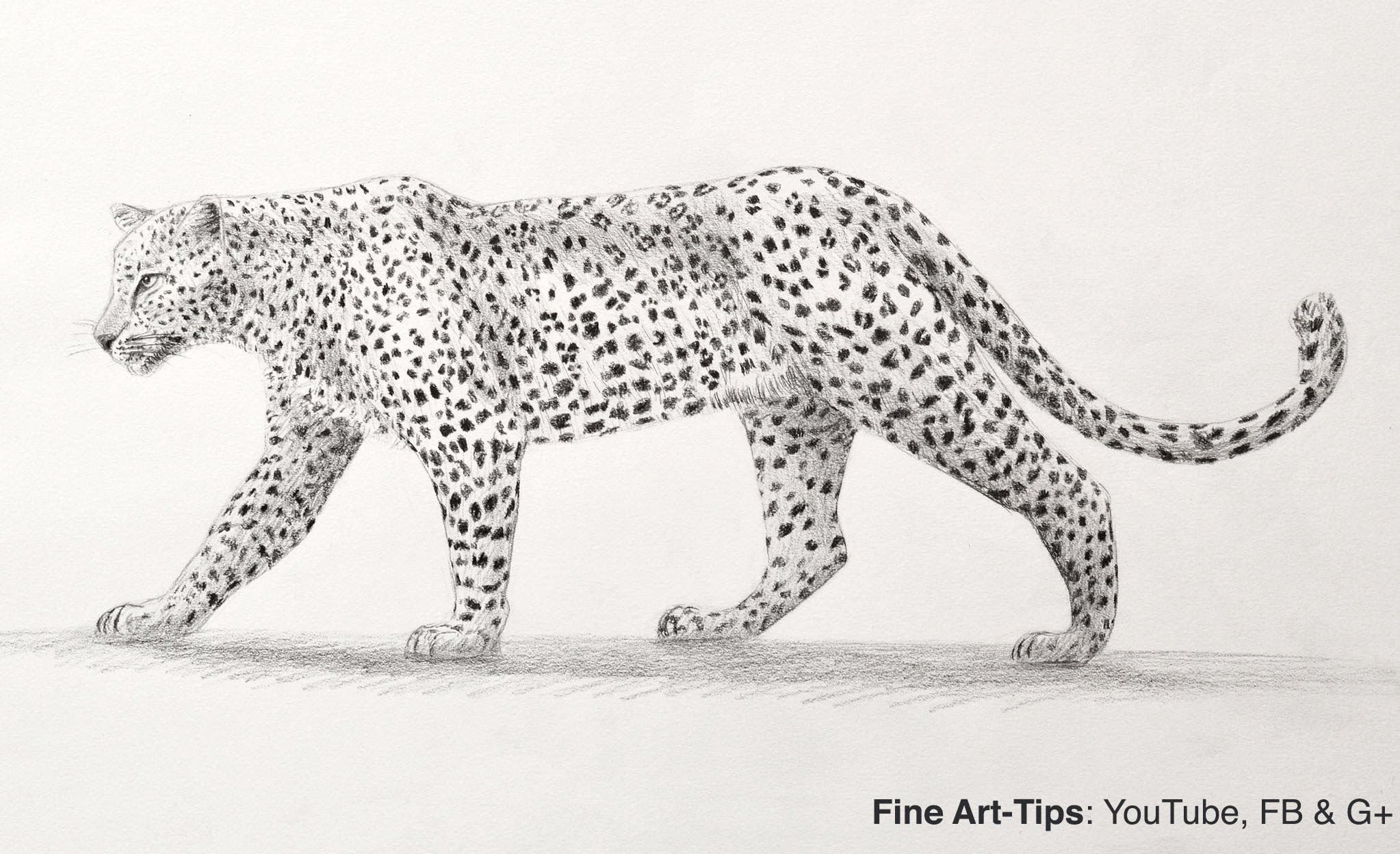 Рисунки для срисовки леопард