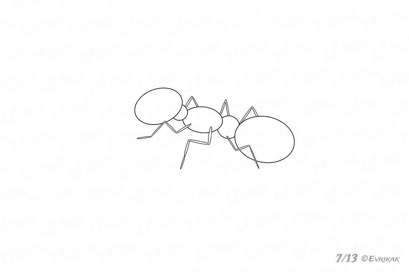 Поэтапное рисование муравья