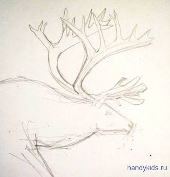 Оленьи рога карандашом