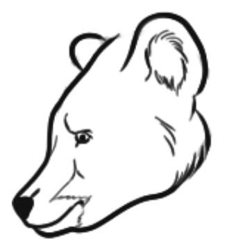 Медвежья морда рисунок сбоку