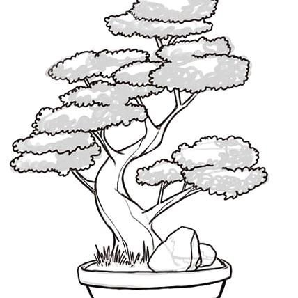 Японское дерево карандашом