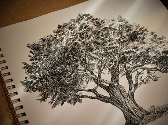 Дерево нарисованное лайнером