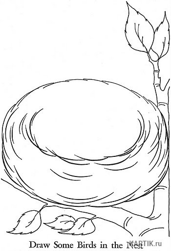 Гнездо раскраска для детей