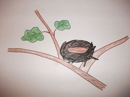 Рисование гнезда птиц детям поэтапное