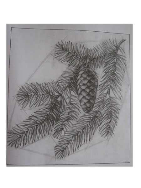 Рисование Еловая веточка