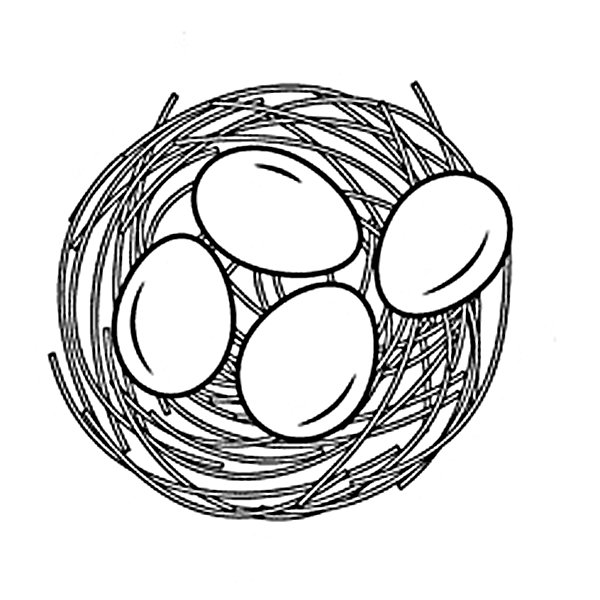 Рисование птицы в гнезде
