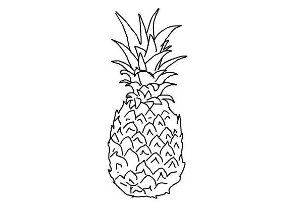 Ананас чертеж