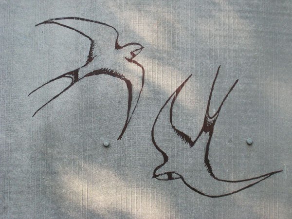 Ласточка рисунок карандашом