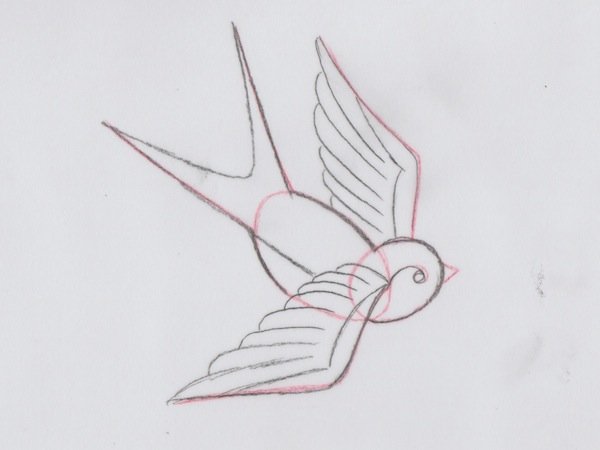 Ласточка рисунок карандашом легкий (47 фото)