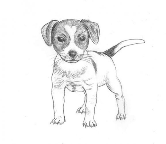 Бобик рисунок