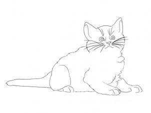 Кот лежит рисунок карандашом для детей