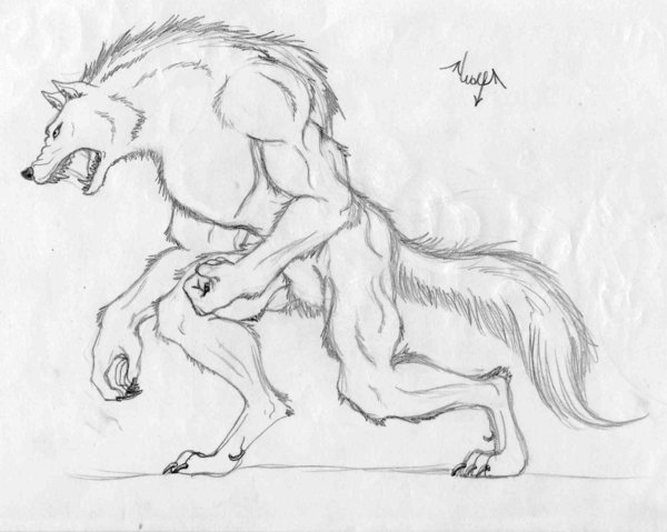 Оборотень карандашом для начинающих