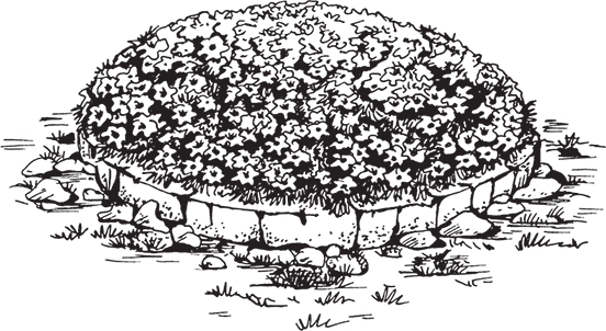 Клумба рисунок