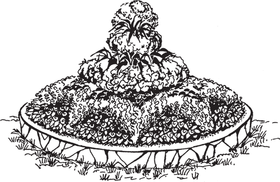 Клумба с цветами карандашом