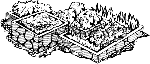 Графический рисунок клумбы