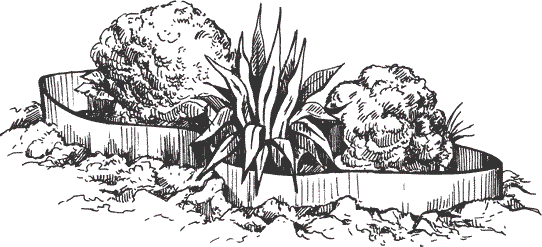 Клумба нарисовать карандашом