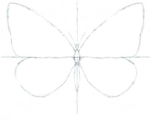 Осевая симметрия композиция