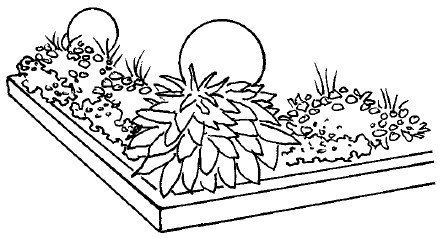 Клумба с цветами карандашом