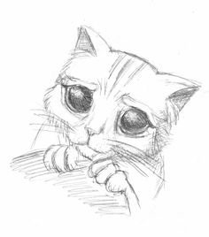 Милый котик карандашом