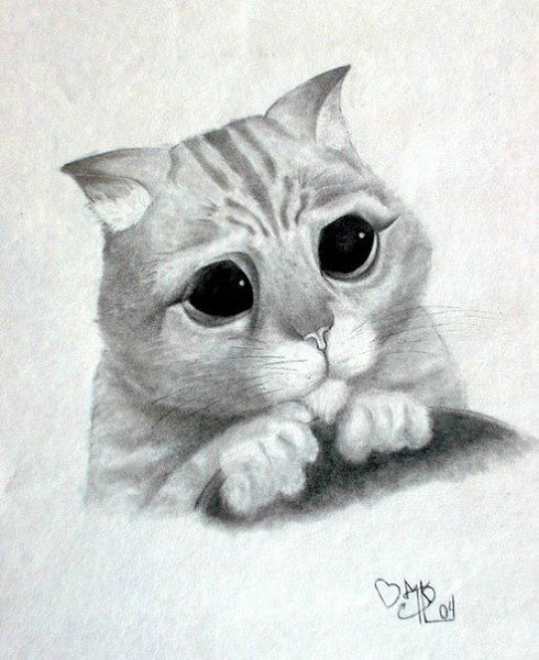 Кот из Шрека карандашом
