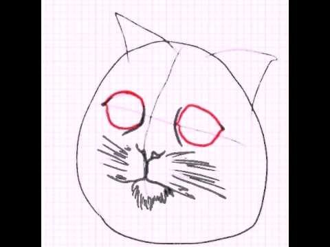 Кот из Шрека карандашом